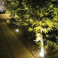 LED Spot Light Eco Elegant - Side View